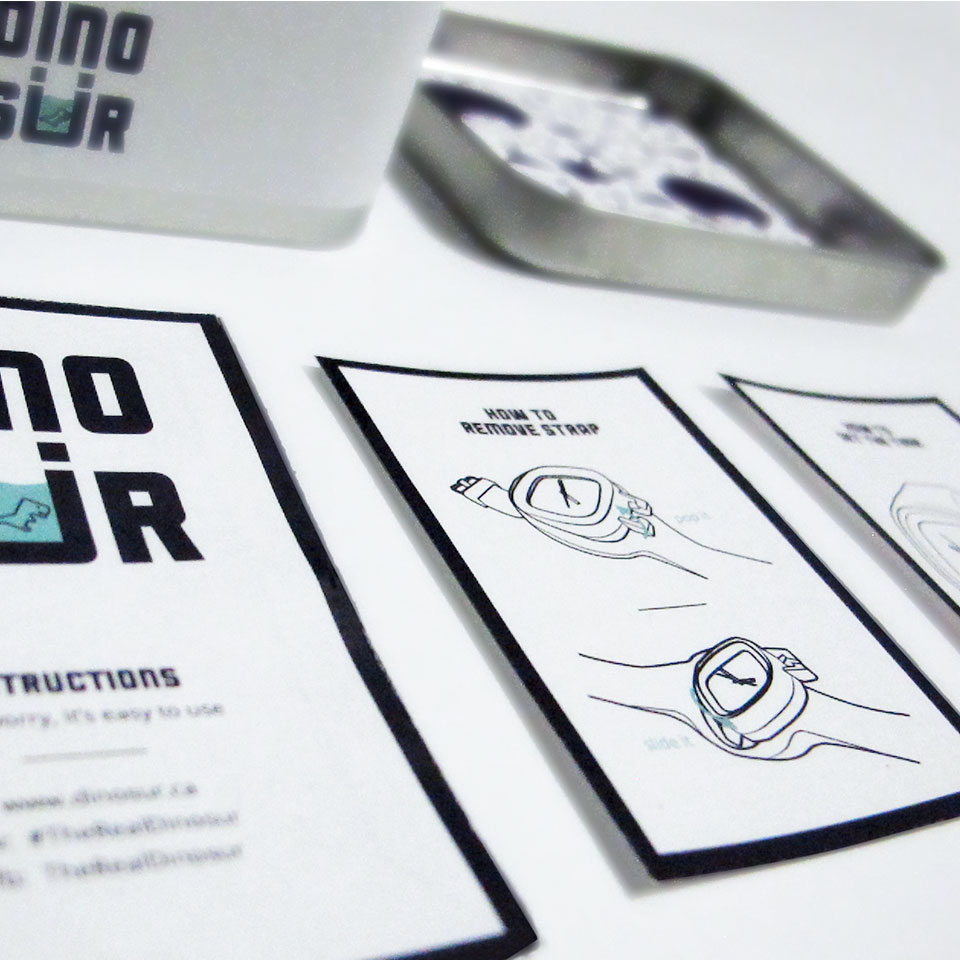 Dinosur packaging - instructions