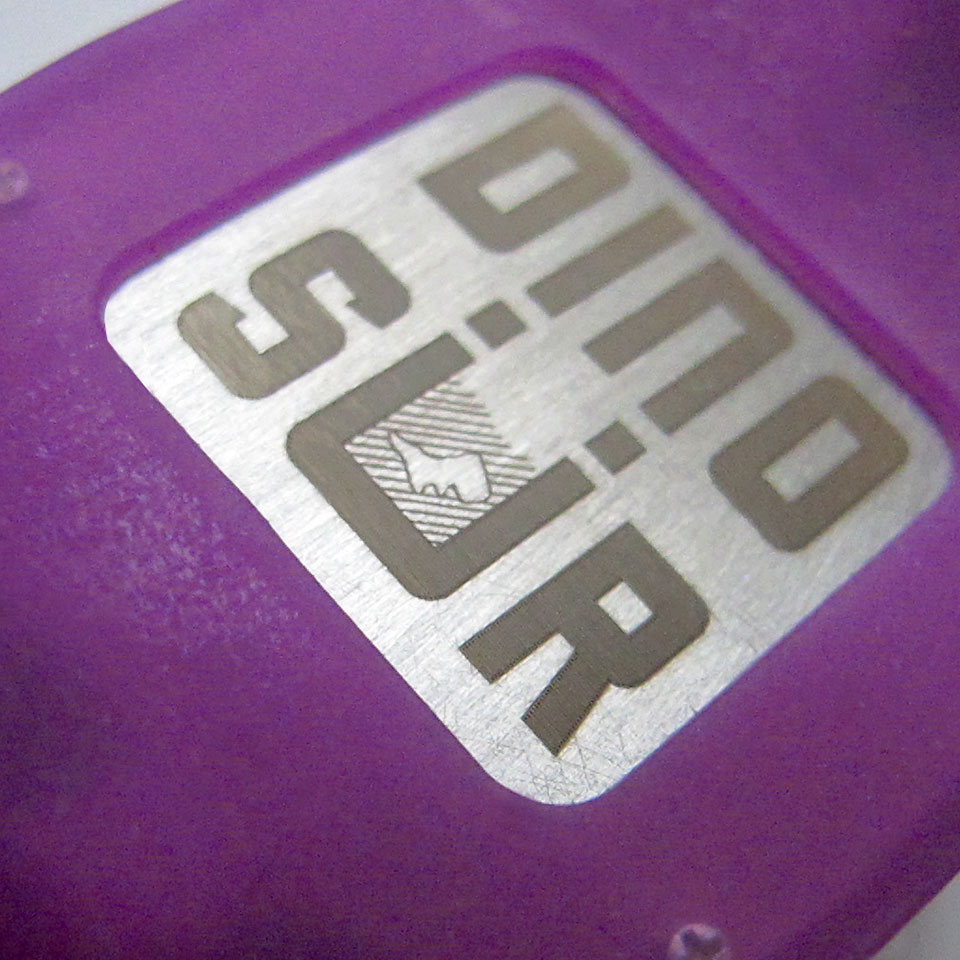 Dinosur watch back engraving