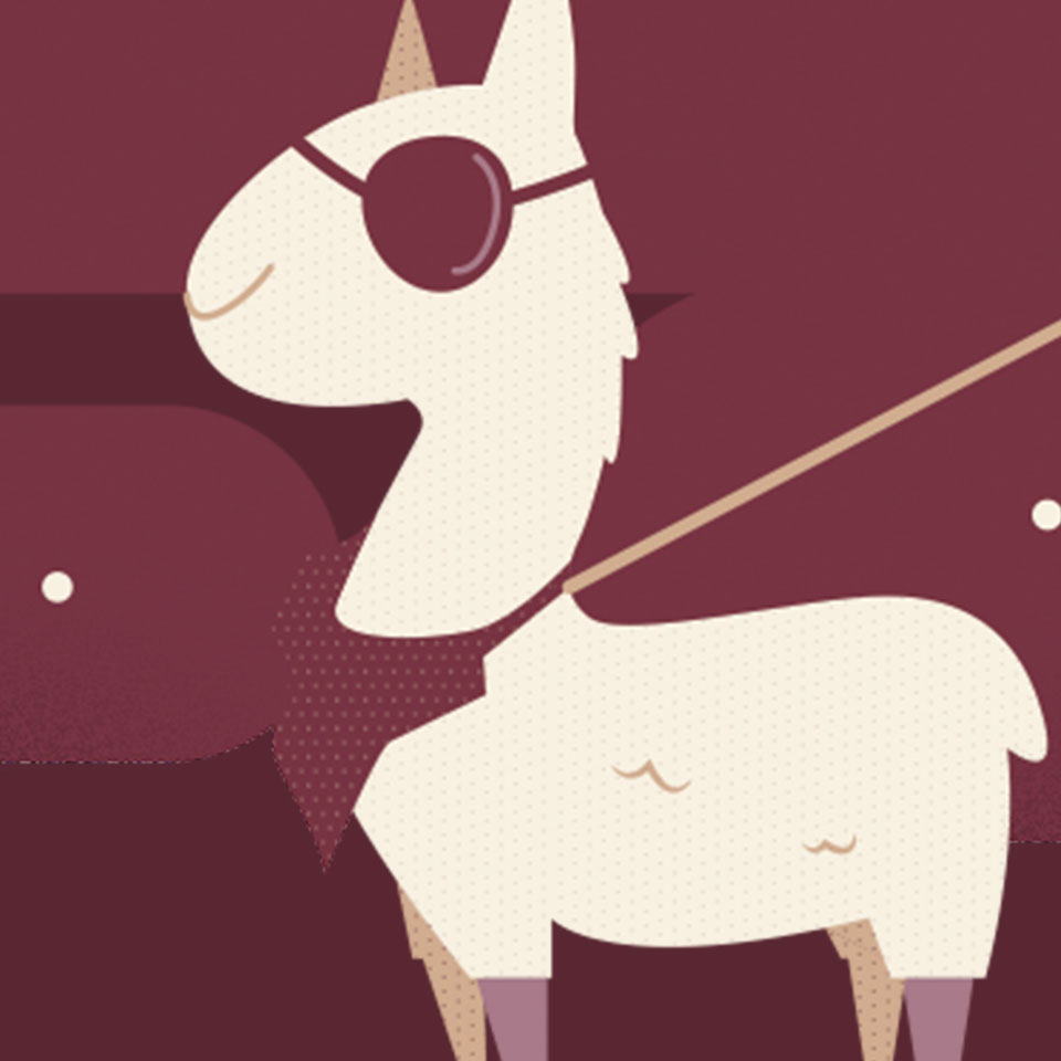 Pirate Llama zoomed in